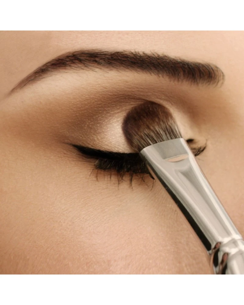 D225 The Depositor Brush -... 6 D225 The Depositor Brush -... - Imagen 4