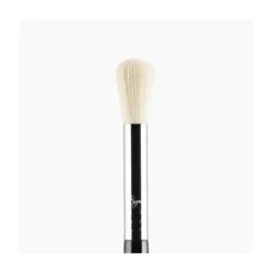 SIGMA F06 POWDER SWEEP™ BRUSH -...