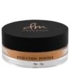 POLVOS EVOLUTION POWDER 3 -... -Tiendas Sigma Select polvos evolution powder 3 danessa myricks